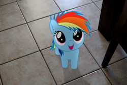 Size: 3000x2000 | Tagged: safe, artist:stormxf3, rainbow dash, fanfic:my little dashie, g4, female, filly, filly rainbow dash, high res, irl, photo, ponies in real life, solo, younger