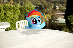 Size: 4912x3264 | Tagged: safe, artist:stormxf3, rainbow dash, fanfic:my little dashie, g4, female, filly, filly rainbow dash, irl, photo, ponies in real life, solo, younger