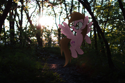Size: 6000x4000 | Tagged: safe, artist:stormxf3, oc, oc only, oc:sparkle bliss, g4, irl, photo, ponies in real life, solo