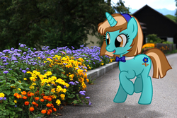 Size: 6000x4000 | Tagged: safe, artist:stormxf3, oc, oc only, oc:madison quick, g4, irl, photo, ponies in real life, solo