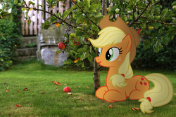 Size: 3000x2000 | Tagged: safe, artist:stormxf3, applejack, g4, high res, irl, photo, ponies in real life, solo
