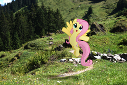 Size: 3000x2000 | Tagged: safe, artist:stormxf3, fluttershy, g4, high res, irl, photo, ponies in real life, solo