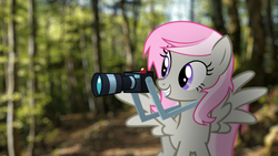 Size: 2560x1440 | Tagged: safe, artist:stormxf3, oc, oc only, oc:sweet shutter, pegasus, pony, g4, blurry background, camera, female, grin, irl, mare, outdoors, pegasus oc, photo, ponies in real life, purple eyes, smiling, solo, spread wings, two toned mane, wings