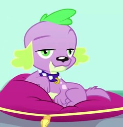 Size: 697x720 | Tagged: safe, screencap, spike, spike the regular dog, dog, eqg summertime shorts, equestria girls, g4, pet project, cropped, dreamworks face, looking at you, paws, puppy, raised eyebrow, smiling