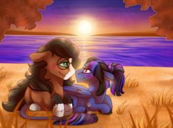 Size: 2722x2023 | Tagged: safe, artist:sacredroses-art, oc, oc only, oc:pandie, oc:walter nutt, beach, blushing, commission, death by coffee, fangs, female, floppy ears, gift art, glasses, high res, leonine tail, looking at each other, male, mare, smiling, stallion, sun