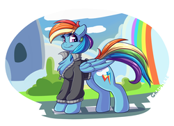 Size: 4088x2956 | Tagged: safe, artist:graphene, rainbow dash, pegasus, pony, g4, chest fluff, clothes, female, high res, jacket, looking back, mare, rainbow waterfall, smiling, solo