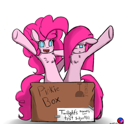 Size: 1280x1280 | Tagged: safe, artist:genericmlp, pinkie pie, earth pony, pony, g4, box, chest fluff, duality, pinkamena diane pie, pony in a box, self ponidox