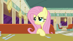 Size: 1920x1080 | Tagged: safe, screencap, fluttershy, mr. waddle, g4, the saddle row review, animated, looking at you, no sound, webm