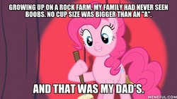 Size: 600x337 | Tagged: safe, edit, edited screencap, screencap, pinkie pie, baby cakes, g4, american dad, image macro, male, meme, memeful.com