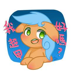 Size: 1000x1000 | Tagged: safe, oc, oc only, oc:文毛, chinese, floppy ears, solo