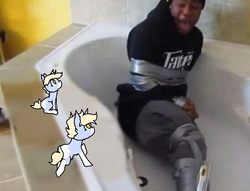 Size: 656x500 | Tagged: safe, artist:nootaz, oc, oc only, oc:nootaz, bathtub, duct tape, meme, ponified animal photo, solo, tied up