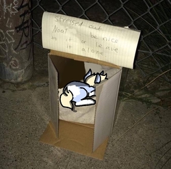 Size: 676x668 | Tagged: safe, artist:nootaz, oc, oc only, oc:nootaz, cardboard box, homeless, meme, ponified animal photo, sign, solo