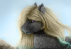 Size: 1024x713 | Tagged: safe, artist:kittenthelonley, oc, oc only, pegasus, pony, bust, female, fluffy, mare, portrait, solo