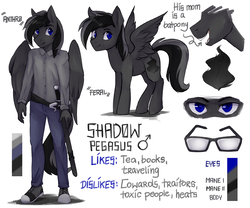 Size: 1280x1067 | Tagged: safe, artist:varllai, oc, oc only, oc:shadow, pegasus, anthro, plantigrade anthro, blue eyes, clothes, commission, glasses, male, reference sheet, sharp teeth, simple background, sword, teeth, weapon, white background