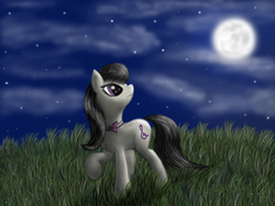 Size: 1600x1200 | Tagged: safe, artist:pony-stark, octavia melody, earth pony, pony, g4, cloud, female, field, grass, looking up, mare, moon, night, outdoors, sky, solo, standing, stars, walking