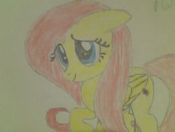 Size: 320x240 | Tagged: safe, artist:darkcharlie2156, fluttershy, g4, female, solo, traditional art