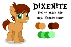 Size: 6000x4000 | Tagged: safe, artist:spottedlions, oc, oc only, oc:dixenite, colt, magical lesbian spawn, male, next generation, offspring, parent:maud pie, parent:ms. harshwhinny