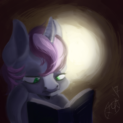 Size: 1024x1024 | Tagged: safe, artist:teymar, oc, oc only, oc:gyro tech, pony, unicorn, book, bust, portrait, reading