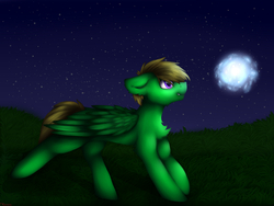 Size: 4000x3000 | Tagged: safe, artist:czywko, oc, oc only, pegasus, pony, commission, grass, green, light, male, night, purple eyes, solo, stars, ych result