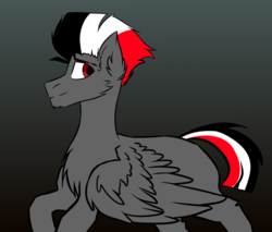 Size: 2000x1700 | Tagged: safe, artist:xanderserb, oc, oc only, pegasus, pony, colt, countryponies, countrypony, dark skin, eyebrows, flat colors, german, german empire, male, nation ponies, ponified, solo