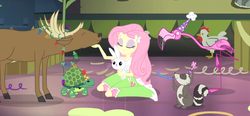 Size: 1280x595 | Tagged: safe, screencap, angel bunny, fluttershy, bird, butterfly, chicken, deer, flamingo, raccoon, equestria girls, g4, my little pony equestria girls: rainbow rocks, shake your tail, boots, christmas, christmas lights, clothes, cute, eyes closed, hank, hat, holiday, party hat, party horn, shoes, shyabetes, skirt, socks, stag