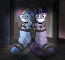 Size: 933x857 | Tagged: safe, alternate version, artist:radiantrealm, rainbow dash, twilight sparkle, alicorn, pegasus, pony, g4, angry, arm behind back, bondage, bound and gagged, bound wings, cloth gag, collar, dashsub, duo, duo female, female, femsub, floppy ears, gag, horn, horn ring, jewelry, lesbian, magic suppression, mare, necklace, pet tag, rope, rope bondage, ship:twidash, shipping, show accurate, submissive, tied up, twilight sparkle (alicorn), twisub