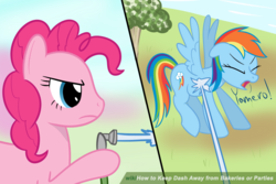 Size: 1200x800 | Tagged: safe, artist:mightyshockwave, pinkie pie, rainbow dash, earth pony, pegasus, pony, g4, secrets and pies, behaving like a cat, female, frown, glare, hoof hold, hose, mare, meme, spray, spread wings, wikihow, wings, yamero