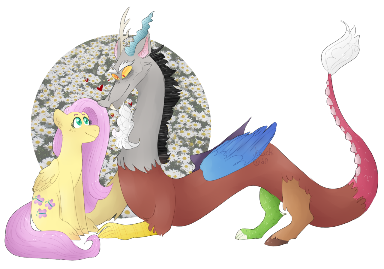 #1561277 - safe, artist:utauchi, discord, fluttershy, draconequus, pony ...