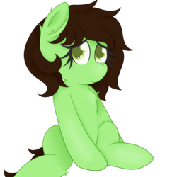 Size: 1200x1200 | Tagged: safe, artist:zlight, oc, oc only, oc:anon, oc:filly anon, female, filly, simple background, solo, transparent background