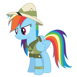 Size: 4000x4000 | Tagged: safe, artist:suramii, rainbow dash, pegasus, pony, g4, stranger than fan fiction, absurd resolution, clothes, cosplay, costume, cute, female, hat, mare, simple background, solo, transparent background, vector