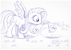 Size: 1073x759 | Tagged: safe, artist:sherwoodwhisper, angel bunny, fluttershy, pegasus, pony, rabbit, g4, eyes closed, female, flower, grass, hole, inktober, inktober 2017, jumping, lineart, looking at something, male, mare, monochrome, outdoors, pen drawing, rabbit hole, spread wings, standing, traditional art, wings