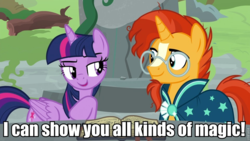 Size: 960x540 | Tagged: safe, edit, edited screencap, screencap, sunburst, twilight sparkle, alicorn, pony, unicorn, g4, shadow play, bedroom eyes, caption, duo, female, image macro, male, mare, meme, out of context, ponehenge, ship:twiburst, shipping, stallion, starswirl's book, straight, twilight sparkle (alicorn)