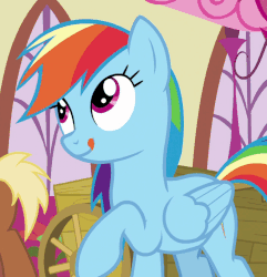 Size: 790x820 | Tagged: safe, screencap, rainbow dash, pegasus, pony, g4, season 7, secrets and pies, animated, cropped, cute, dashabetes, eyes closed, female, folded wings, gif, licking, mare, raised hoof, solo, tongue out, wings