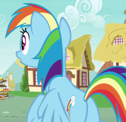Size: 698x678 | Tagged: safe, screencap, rainbow dash, pegasus, pony, g4, secrets and pies, butt, cropped, female, mare, open mouth, plot, solo