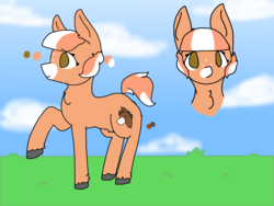 Size: 1600x1200 | Tagged: safe, artist:nootaz, oc, oc only, oc:pony, reference sheet