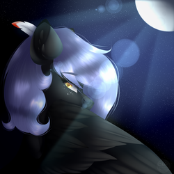 Size: 1024x1024 | Tagged: safe, artist:mauuwde, oc, oc only, oc:cloudy night, pegasus, pony, feather, female, gift art, looking back, mare, moon, night, solo