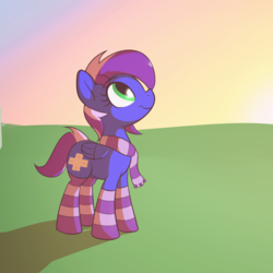 Size: 2048x2048 | Tagged: safe, artist:wenni, oc, oc only, pegasus, pony, clothes, female, high res, mare, scarf, socks, solo, striped socks, sun, sunrise