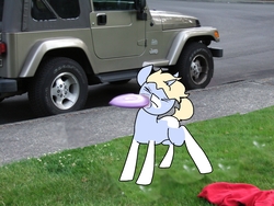 Size: 2848x2136 | Tagged: safe, artist:nootaz, oc, oc only, oc:nootaz, pony, unicorn, abuse, frisbee, high res, jeep, jeep wrangler, meme, noot abuse, ponified animal photo, solo