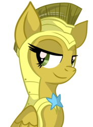 Size: 1393x1903 | Tagged: safe, artist:x-blackpearl-x, oc, oc only, oc:escuda, pegasus, pony, female, guardsmare, mare, royal guard, simple background, solo, transparent background