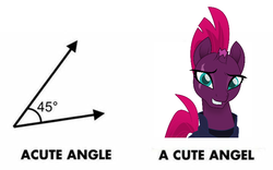 Size: 720x448 | Tagged: safe, artist:jhayarr23, tempest shadow, angel, pony, unicorn, g4, my little pony: the movie, acute angle, angle, cute, female, geometry, know the difference, mare, meme, pun, solo, tempestbetes