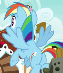 Size: 517x593 | Tagged: safe, screencap, rainbow dash, pegasus, pony, g4, secrets and pies, butt, cropped, female, mare, plot, solo, spread wings, wings