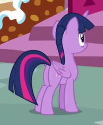 Size: 272x329 | Tagged: safe, screencap, twilight sparkle, alicorn, pony, g4, secrets and pies, butt, cropped, female, folded wings, plot, solo, twibutt, twilight sparkle (alicorn), wings