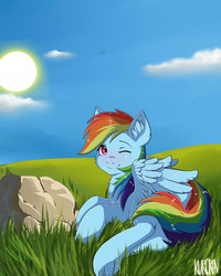 Size: 4000x5000 | Tagged: safe, artist:kuroran, rainbow dash, pony, rcf community, g4, blushing, female, grass, rock, solo, sun, underhoof