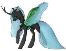 Size: 2560x1987 | Tagged: safe, artist:aliceub, queen chrysalis, changedling, changeling, g4, changedlingified, female, simple background, solo, spread wings, white background, wings