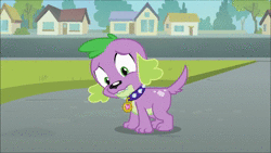 Size: 1920x1080 | Tagged: safe, screencap, spike, twilight sparkle, dog, ladybug, equestria girls, g4, my little pony equestria girls, animated, clothes, cutie mark, cutie mark on clothes, duo, hand, meme origin, offscreen character, pov, screaming, sound, spike the dog, twilight's human reaction, twilighting, twiscream, webm, wondercolt statue, zoom out