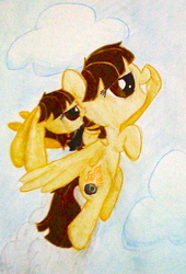 Size: 686x1011 | Tagged: safe, artist:beetrue, wild fire, pony, rabbit, g4, flying, self ponidox, species swap, traditional art