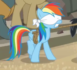 Size: 289x262 | Tagged: safe, screencap, rainbow dash, daring done?, g4, blindfold, bondage, bound wings, cropped, rope, solo focus, tied up