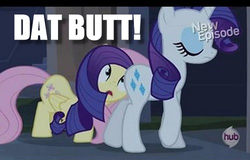 Size: 500x319 | Tagged: safe, edit, edited screencap, screencap, fluttershy, rarity, pegasus, pony, unicorn, g4, all new, butt, caption, dat ass, eyes on the prize, horn, hub logo, image macro, logo, looking at butt, meme, open mouth, plot, text, the hub