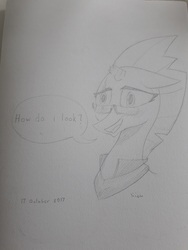 Size: 3072x4096 | Tagged: safe, artist:siam_foxx, fizzlepop berrytwist, tempest shadow, g4, my little pony: the movie, glasses, sketch, traditional art