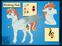 Size: 2000x1500 | Tagged: safe, artist:cranberry--zombie, oc, oc only, oc:blitzkrieg flash, pegasus, pony, magical lesbian spawn, male, offspring, parent:oc:stained glass, parent:rainbow dash, parents:canon x oc, reference sheet, solo, stallion
